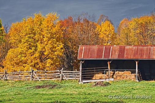 Autumn Shed_17896.jpg - Photographed near Perth, Ontario, Canada.